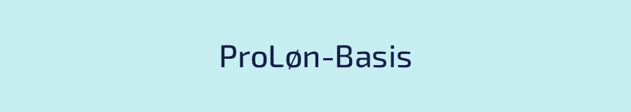 DataLøn Branche-Basis lønprogram 